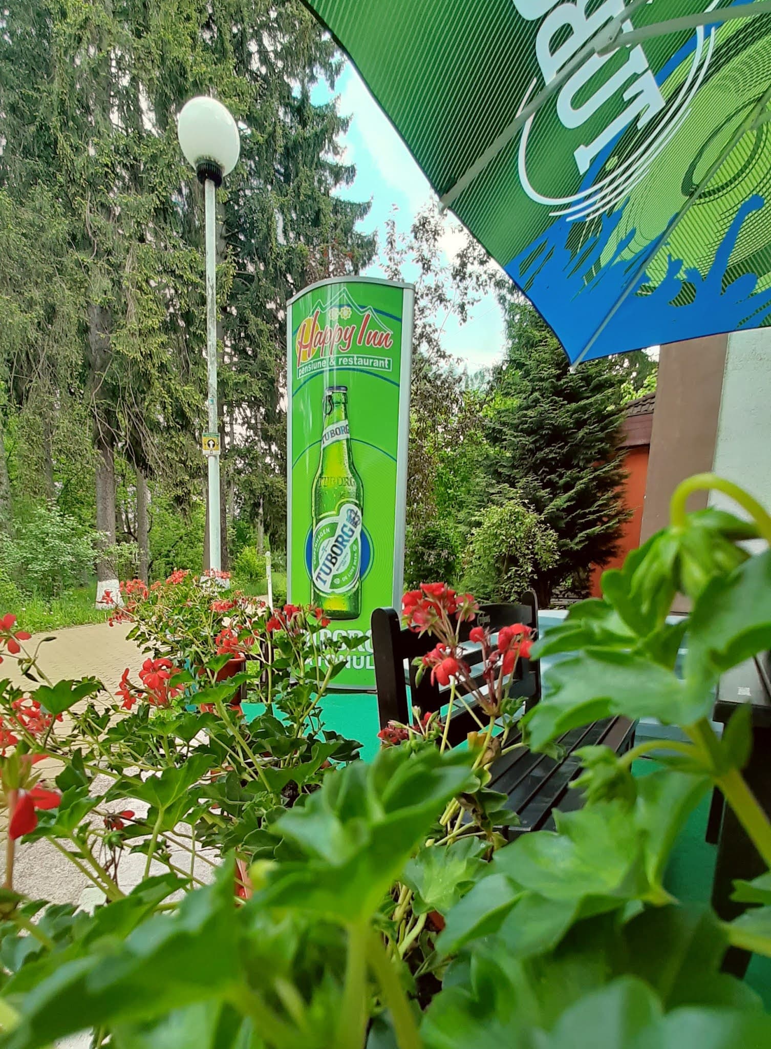 Terasa Happy Inn cu vedere spre Parcul Municipal